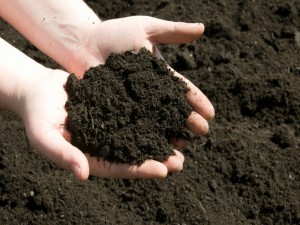 Как обогатить почву