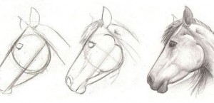 Как поэтапно нарисовать лошадь