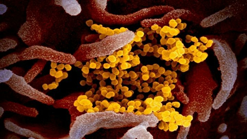 Ученых поразили свойства "коронавирусной" пленки
