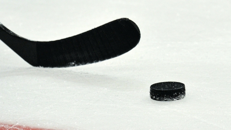 НХЛ и профсоюз игроков утвердили состав дивизионов и дату начала сезона