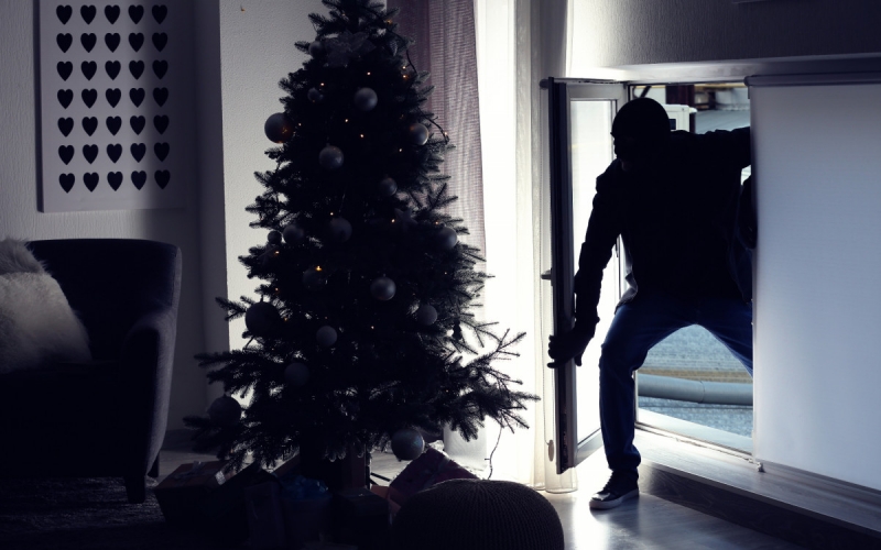 Как происходят квартирные кражи в новогодние праздники. Способы защиты