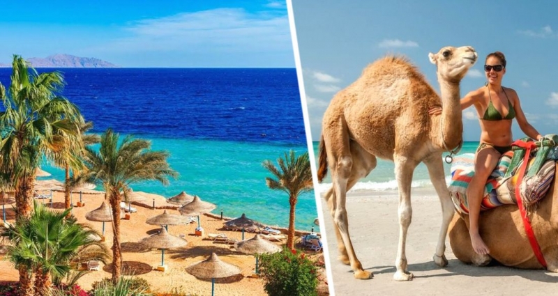 Египетские эксперты озвучили стоимость отелей в Хургаде: что ждёт российских туристов?