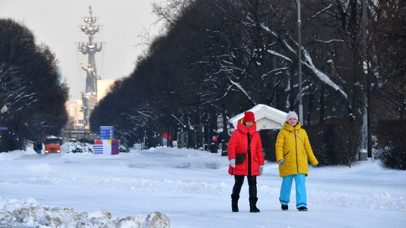 Москвичей предупредили о приближении арктических холодов