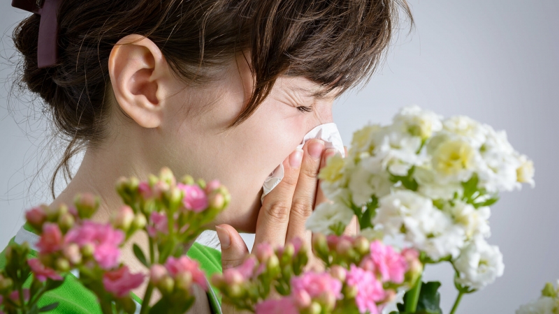 Роспотребнадзор дал рекомендации страдающим сезонной аллергией