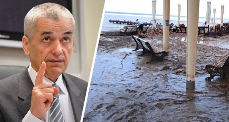 Онищенко предупредил о болезнях, которые можно подхватить в Ялте после потопа