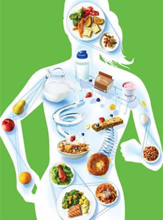 Как правильно питаться в наше время