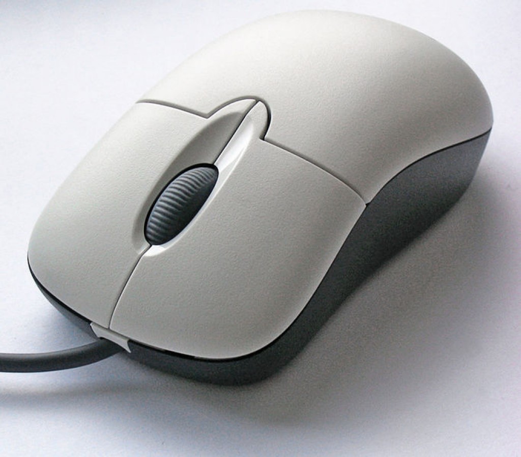 Мышь компьютерная. Мышка для компьютера. Обычная компьютерная мышь. Мышка с колесиком.