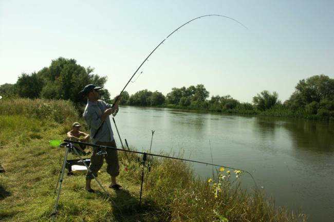 Как научиться ловить рыбу на удочку Ловля рыбы