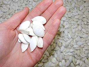 Как сушить тыквенные семечки Сушка