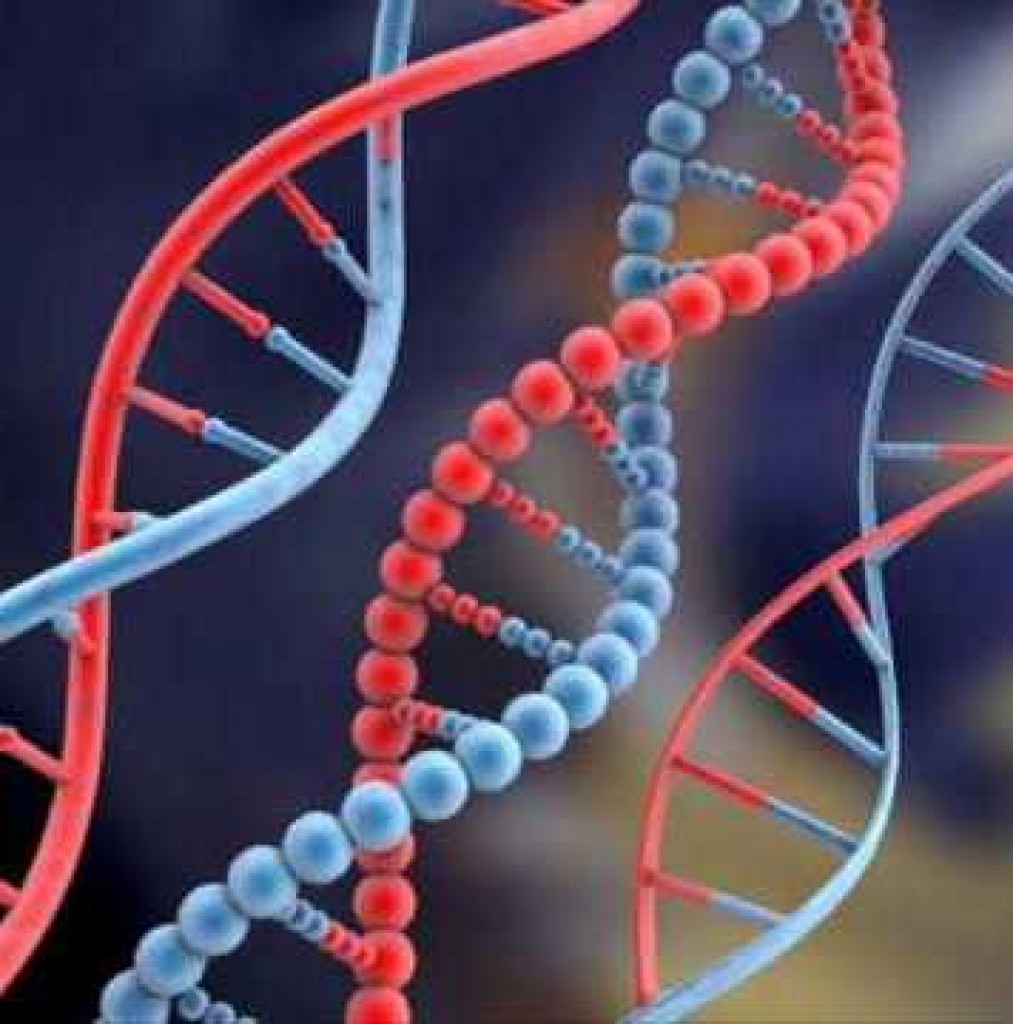 Геномная ДНК. Молекула ДНК. Генетическая предрасположенность. Спираль ДНК.