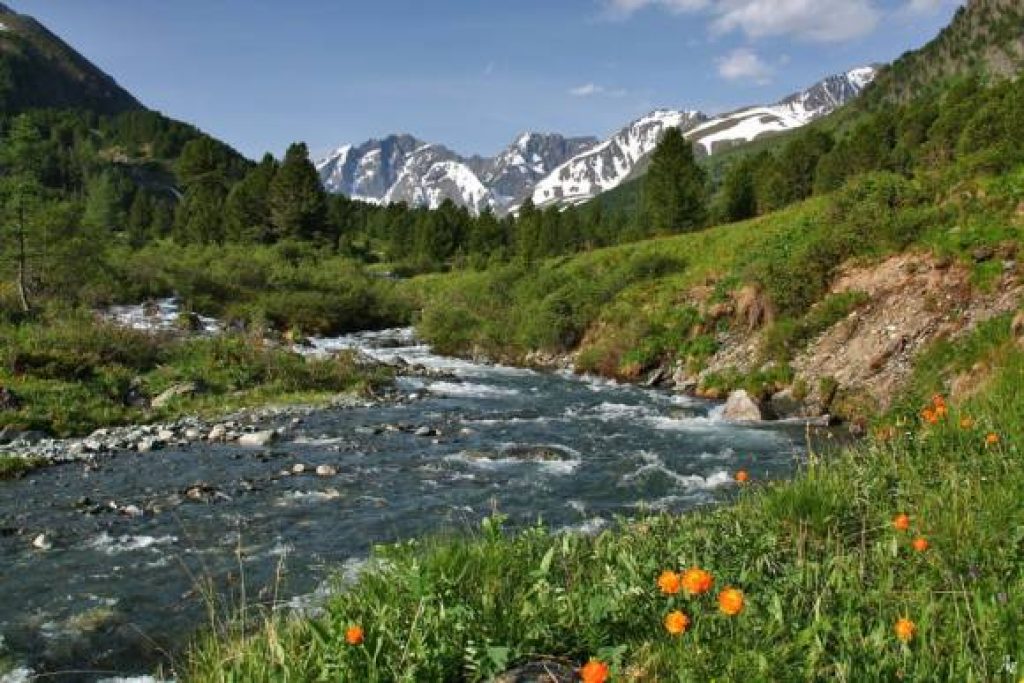 Горный алтай фото природы