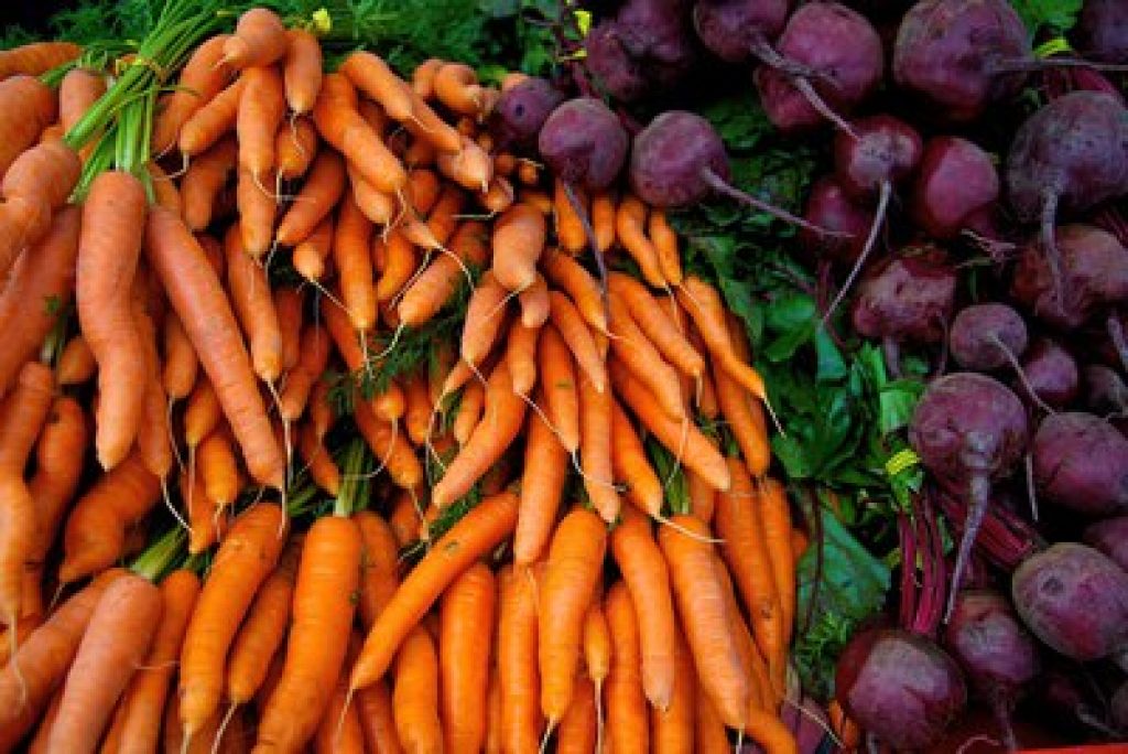 Фото моркови и свеклы