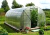 Как выбрать теплицу?