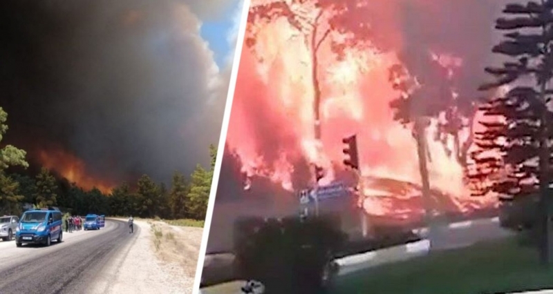 Эвакуация туристов началась: пожары в Турции дошли до отелей