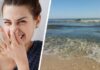 Туристам объяснили причину гнилостного запаха на Черном море