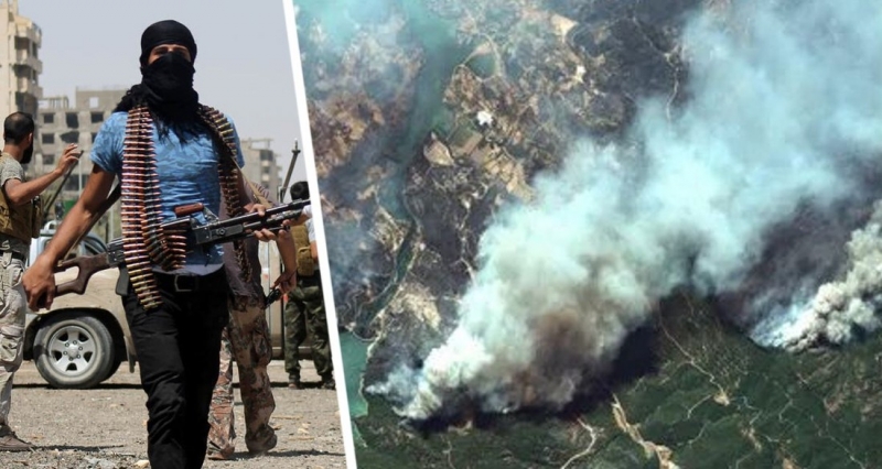 По туризму Турции нанесла удар террористическая организация: она взяла ответственность за пожары