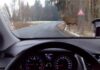 Посмотрите, как дикие животные внезапно выбегают на дороги. Видео