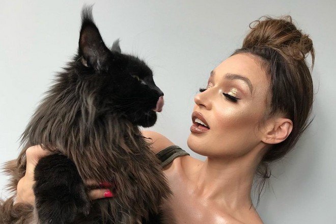 Алёна Водонаева купила своему коту элитную квартиру в центре Москвы - NEWS.ru — 26.10.21