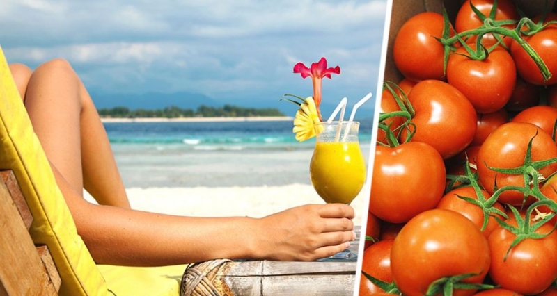 Фруктовые предупреждения Турции исчерпаны после запрета перцев и гранатов: запрет туризма из РФ становится все ближе