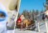 В Финляндии срочно делают обсерваторы для туристов, отправляющихся на Новый год в Лапландию к Санта Клаусу