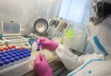 В Японии выявили четыре новых случая заражения омикрон-штаммом