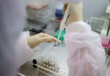 В России разработали план реагирования при распространении омикрон-штамма