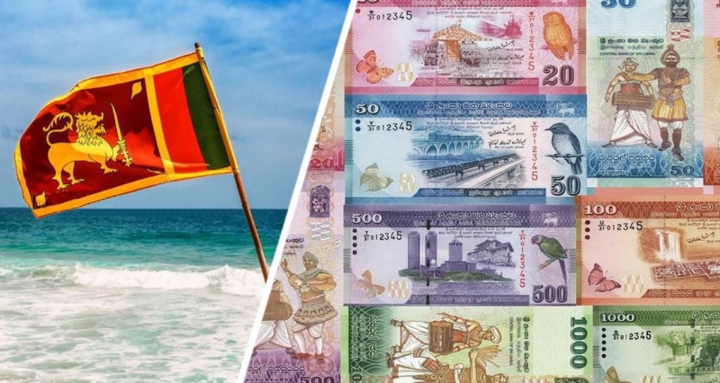 Российским туристам раскрыли секрет, где выгодней всего менять валюту на Шри-Ланке
