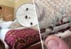 Туристы испытали кошмар, столкнувшись с роем клопов в номере отеля