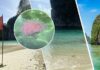 Пляжи популярного курорта Таиланда заполнили огненные медузы