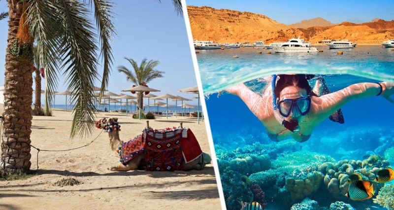 Цены на туры в Египет скоро резко подешевеют: названа дата