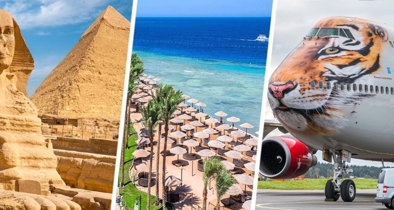 Туроператоры увеличивают число рейсов в Египет: названы российские города, откуда полетят самолёты в Хургаду