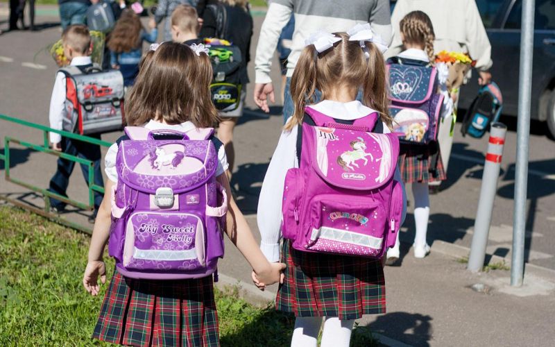 
            Как правильно отводить ребенка в школу: ГИБДД опубликовала чек-лист
        