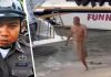 Пьяный российский турист решил погулять по пляжу голым с эрекцией в Таиланде и вызвал возмущение