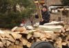 Дровяная лихорадка: в Латвии дрова стали ценнейшим и дорогостоящим ресурсом