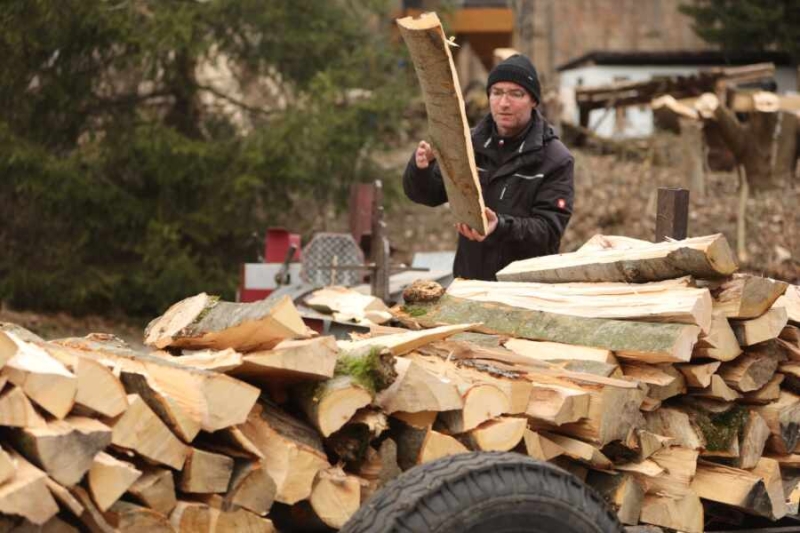 Дровяная лихорадка: в Латвии дрова стали ценнейшим и дорогостоящим ресурсом
