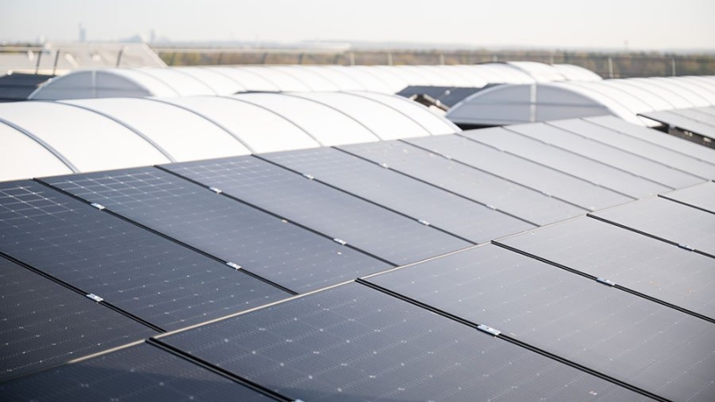 Солнечную электростанцию построят в Приамурье