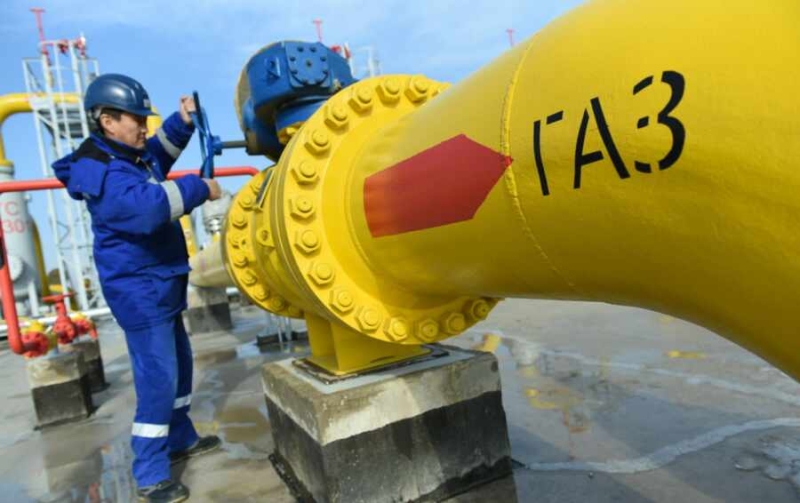 В Австрии заявили, что отказ от российского газа не имеет смысла и займет годы