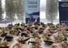 Фестиваль арктической кухни прошел в рамках ХХI Зимних дипломатических игр