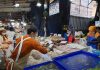 Российский турист в Паттайе понял, где можно покупать качественные морепродукты и чего делать не стоит