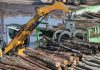 Объем заготовок древесины сократился в Карелии