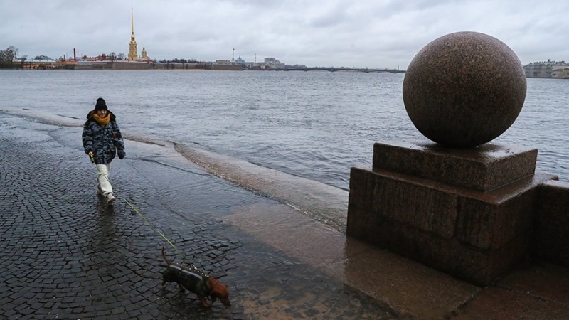 Прошедшая зима стала одной из самых пасмурных в Петербурге