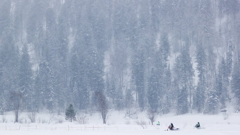 Жителей Алтайского края предупредили о сильном снеге и метели