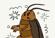 Избавься от тараканов раз и навсегда: секреты эффективной обработки для чистого и уютного дома