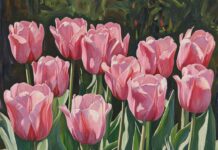 Букет тюльпанов: язык цветов и искусство выбора