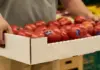 Картон против пластика: что лучше для упаковки продуктов?