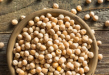 Высококачественный горох оптом – ваш успех гарантирован