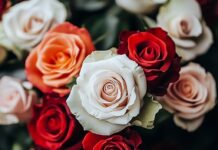 Выбор букета с доставкой: как сделать идеальный сюрприз на расстоянии