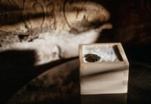 Обновленный Mendeleev Bar: алхимия вкусов, ритмы ночи и скрытые пространства