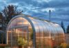 Теплицы: от выбора до урожая