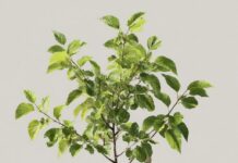 Экологическая документация для бизнеса: Путь к устойчивому развитию и успеху